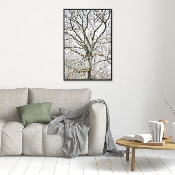 mockup-storefront.jpg EL druida