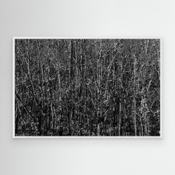 mockup-storefront.jpg Caos aparente