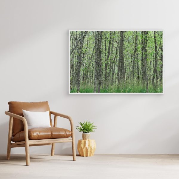 mockup-storefront.jpg Tapiz de primavera