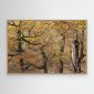 Ventana de otoño