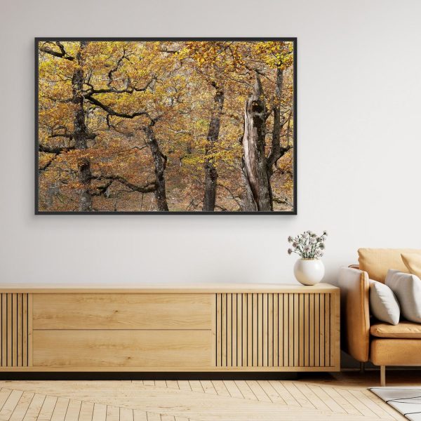 mockup-storefront.jpg Ventana de otoño