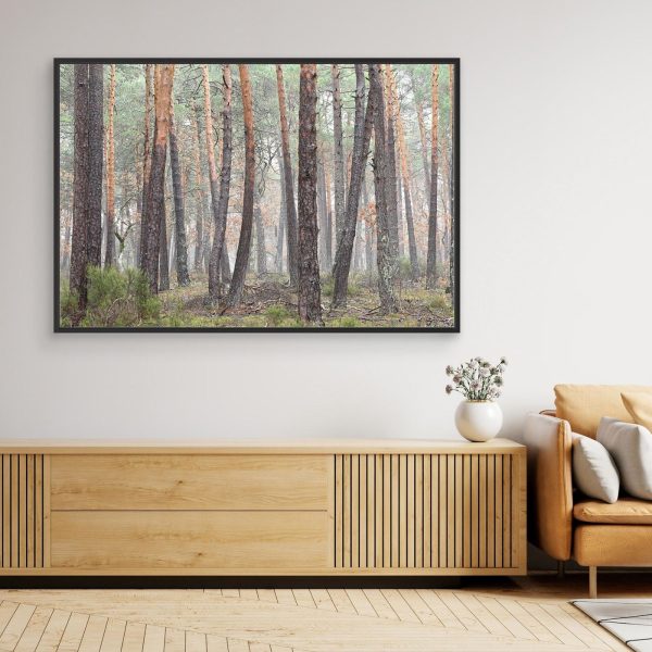 mockup-storefront.jpg Niebla en el bosque