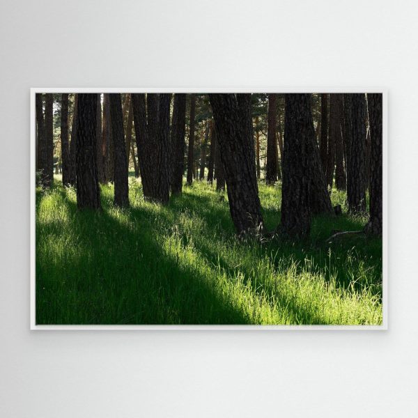 mockup-storefront.jpg Calidez