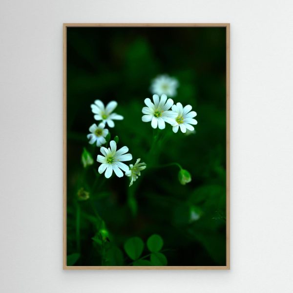 mockup-storefront.jpg Florecer