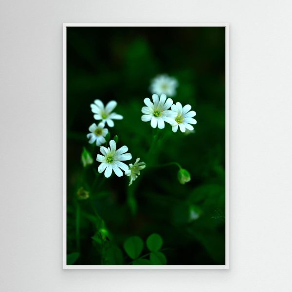mockup-storefront.jpg Florecer