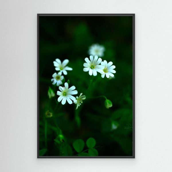 mockup-storefront.jpg Florecer