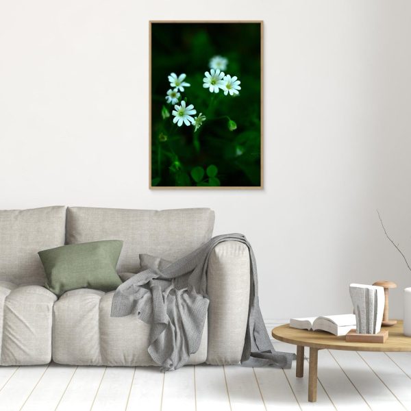 mockup-storefront.jpg Florecer