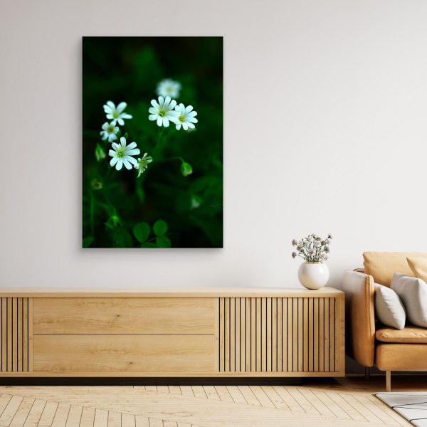 mockup-storefront.jpg Florecer